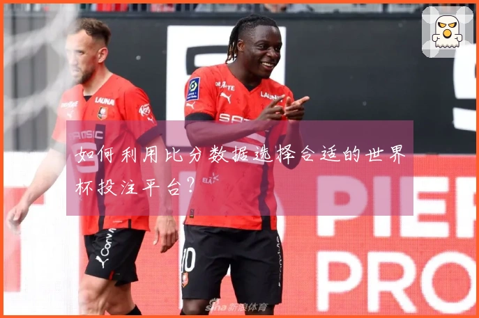 如何利用比分数据选择合适的世界杯投注平台？