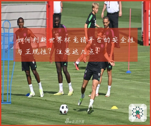如何判断世界杯竞猜平台的安全性与正规性？注意这几点！