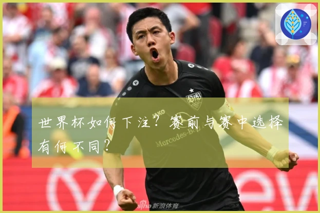 世界杯如何下注？赛前与赛中选择有何不同？