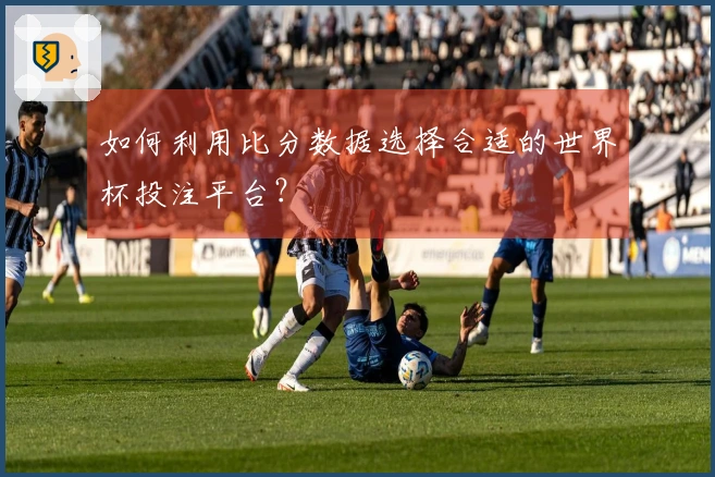 如何利用比分数据选择合适的世界杯投注平台?