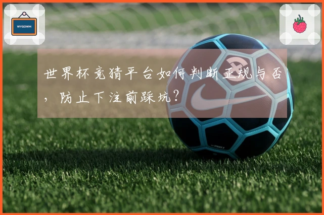 世界杯竞猜平台如何判断正规与否，防止下注前踩坑？