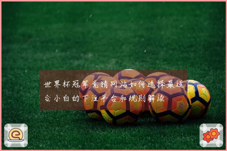 世界杯冠军竞猜网站如何选择最适合小白的下注平台和规则解读