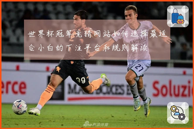 世界杯冠军竞猜网站如何选择最适合小白的下注平台和规则解读